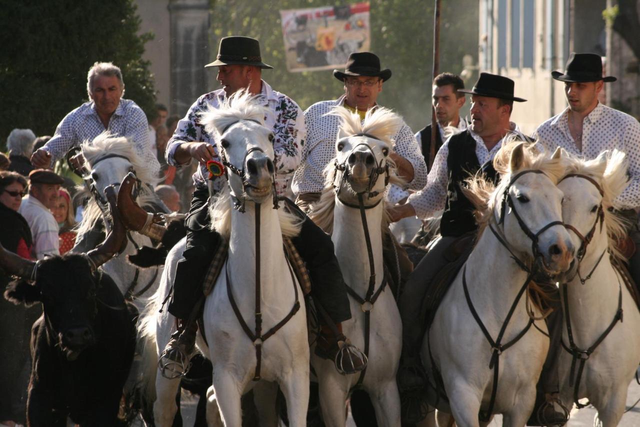 Gite De Vacances En Camargue ☆☆Nn Vauvert Buitenkant foto